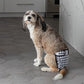 Pet Parents® Washable Dog Diapers (3pack) + Extendrs® of Durable Doggie Diapers, Premium Dog Diapers Female (Medium, Luxe)