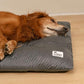 FUNNY FUZZY Washable Dog Bed,Reversible Plush Dog Crate Mat, Soft Fluffy Kennel Pad,Pet Sleeping Mattress for Jumbo,X-Large Sized Dogs Breeds,2XL,48"× 31",Grey
