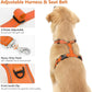 Dog Seat Belt Harness for Car, Dog Car Harness Adjustable Mesh Breathable & Dogs Seatbelt Safety Tether with Elastic Bungee for Small Medium Large Pets(Orange, S)