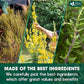 FreshDrinkUS, StrongerLungs 75 Tea Bags - Mullein Leaf, Ginseng, Elderberry, Ginger & Thyme - Supports Lung Cleanse, Congestion Relief & Mucus Detox - Caffeine-Free & All-Natural