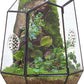 NCYP Closed Geometric Glass Enclosure with Front Opening Door & 2 Vent Holes for Insects, Succulent, Cacti - 7.9"x6.9"x9.8" Black Irregular Terrarium Planter - Home Garden Tabletop Decor (No Plants)