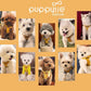 Puppytie No Pull Dog Harness with Multifunction Dog Leash,Soft Adjustable No Choke Escape Proof Pet Harness Vest for Medium Dogs or Large Dogs,Yellow,M