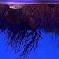10 Plus Red Root Floater Plants Phyllanthus fluitans Floating Pond Plant Live Aquarium Floating Plants Create Shade and Hiding for Your Fish and Other inhabitants
