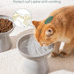 vancasso Ceramic Elevated Cat Bowls 2-Pack - 6.2" Extra Wide Raised Cat Food & Water Dishes, 5.1" Optimal Height Anti-Whisker Fatigue Shallow Bowls for Cats/Kittens/Dogs, Lead & Cadmium Free (Grey)