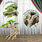 Novelsite Fish Tank Decoration- Cliff Bonsai Trees with Faux Moss- Aquarium Decoration Aqua scaping- Made of Sandstone-Goldfish Betta Fish Tank Decor