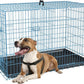 FDW Dog Crate for Medium Dogs 36 Inch Folding Metal WirePet Cage Double Door W/Divider Panel Indoor Outdoor Kennel Leak-Proof Plastic Tray,Blue