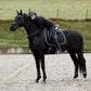 HORZE Adepto Quilted Quick-Dry Dressage Saddle Pad for Horses with Two-Tone Trim