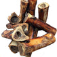 K9 Connoisseur Beef Marrow Large Dog Bones Long Lasting for Aggressive Chewers - USA Made Single Ingredient Champ Bones for Large Dogs Over 50 Pounds - 10 Pack