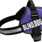 Doggie Stylz Blind Dog Harness No Pull No Escape Dog Vest for Blind Dogs Adjustable Vest with Handle Blind Dog Accessories and Patches for Training and Mobility