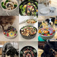 Ceramic Puzzle Slow Feeder Dog Bowl - 0.6 Cup Elevated with Wood Stand for Small Breeds, Black