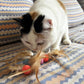 Cat Toy Balls, 5 PCS Colorful Feather Bouncy Balls for Cats No Noise Interactive Kitten Toys Cat Exercise Ball, Safe for Your Kitty (A)
