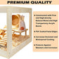 Prolee Hamster Habitat Chewproof, Mice and Rat Habitat with Transparent Sides, Hamster Cage with Openable Mesh Top, Solid Built with Lock Design (32" L x 16" W x 16" H)
