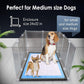 TidyFriend Litter Box Splash Guard 24” x 32”, Small Dog Litter Box Shield Guard with Pee Pad Holder Tray Fits for 30" x 23” Training Pad, Easy to Clean, Indoor (White Enclosure with Grey Peepad Tray)