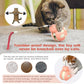 Cat Treat Interactive Toy, Indoor Puzzle Slow Feeding Mental Stimulation Sliding Rolling Cat Toy Ball with Ca-t Teaser, Cats Treat Dispenser Toy for Large, Medium and Small Cats (Pink, ladybug)