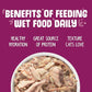 Weruva Classic Cat Food, Mideast Feast with Grilled Tilapia in Gravy, 10oz Can (Pack of 12)