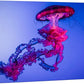 wall26 Canvas Print Wall Art Vibrant Neon Hot Pink Underwater Jellyfish Nature Animals Photography Realism Rustic Scenic Landscape Wilderness Earth for Living Room, Bedroom, Office - 24"x36"