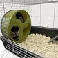Silent Runner 12" Wide + Cage Attachment - Silent, Fast, Durable Exercise Wheel - Sugar Gliders, Degus, Rats, Hedgehogs, Prairie Dogs & Small Pets