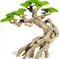 Novelsite Fish Tank Decoration- Cliff Bonsai Trees with Faux Moss- Aquarium Decoration Aqua scaping- Made of Sandstone-Goldfish Betta Fish Tank Decor