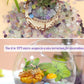 1lb Fluorite Aquarium Gravel Rocks Natural Tumbled Healing Crystal Chips Bulk Gemstones Crushed Stones for Fountain Vase Filler Planters Decorative Fish Tank Potted Reiki Energy Balancing
