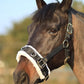 T TEKE Lunge Cavesson with Fleece Lined Nose Band and Crown