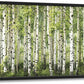 Extra Large Birch Tree Framed Wall Art for Living Room,Oversized Green Aspen Trees Forest Pictures Wall Decor,Canvas Print Painting Modern Artwork Bedroom Office Bathroom 36L" x 24W"