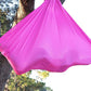 F.Life Aerial Silk Yoga Hammock & Swing for yoga Inversion,Strength training,starter hardware kit
