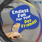 Outdoor Cat Enclosure - Portable Catio Playground for Cat Run, Kitty and Small Animals - Tent & Tunnels for Outside and Indoor Play