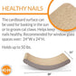 K&H Pet Products EZ Mount Cat Window Perch Kitty Sill Scratcher Cradle, Sturdy Window Perch for Large Cats, Steel Frame Scratcher Hammock with Strong Suction Cups for Glass - 20 X 11in Cardboard