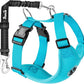 SlowTon Dog Seat Belt Harness for Car, Dog Car Harness Adjustable Mesh Breathable & Dog Seatbelt Safety Tether with Elastic Bungee for Small Medium Large Pets(Light Blue, Double Clip, XXS)