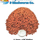 Aquatic Foods Inc. Wafers 3.5mm - 1/8" Intense Color Enhancing Sinking Micro Wafers for All Tropical Fish, Cichlids, Catfish, Plecos, All Bottom Fish, Shrimp, Snails, Crabs, …11oz Small Jar