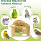 2LB Spray Millet Bird Treat for Parakeets, Natural Sun-Dried Birds Millet Spray for Parrots, Finches, Cockatiel, Budgie & Hamster, Bird Food Bulk