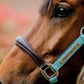Horseware® Signature Competition Halter