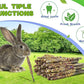 Abizoo Bunny Chew Toys for Rabbits,18PCS Natural Apple Wood Sticks with Petals Good for Chinchillas Guinea Pig Hamster Teeth Care, Bunny Small Pet Treats Teething Toys| Natural Organic Safe