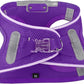 Light Up Dog Harness,Rechargeable LED Dog Harness for Small Medium Large Dogs,Reflective Lighted Safety Vest for Night Walking & Camping,Lightweight & Adjustable,Purple,M