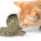 Purple Haze Catnip, Premium Blend Safe for Cats, Infused with Maximum Potency Your Kitty is Sure to Go Crazy for (1 Cup)
