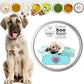 The Blissful Dog Anatolian Shepherd Boo Boo Butter, 16 Ounce