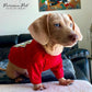 Parisian Pet Dog Shirt - Embroidered “I Put Ketchup on My Treats“ - 100% Cotton and Polyester Dog Clothes - Sleeved, Lightweight Costume for Dogs - Red Dog Shirts for Large Dogs - Pet Costumes - XL