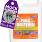 PondWorx Pond Bacteria - Formulated for Large Ponds, Water Features and Safe for Koi - Gallon