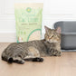 Kitty City PH Crystals Cat Litter 6LB