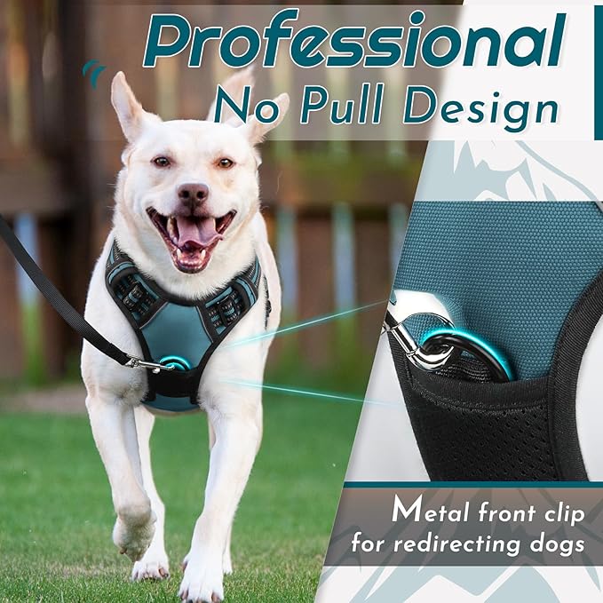 Eagloo Dog Harness Small Sized Dog, No Pull Service Vest with Reflective Strips and Control Handle, Adjustable and Comfortable for Easy Walking, No Choke Pet Harness with 2 Metal Rings, Dark Green, S