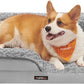 Feandrea Orthopaedic Dog Bed for Medium Dogs, Waterproof Dog Sofa Bed with Removable Washable Cover, 28 x 23 x 6.5 Inches, Dove Gray UPGW251G01