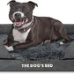 The Dog’s Bed, Medium Grey Faux Fur 30x23.5, Memory Foam, Pain Relief: Arthritis, Hip & Elbow Dysplasia, Post Surgery, Lameness, Supportive, Calming, Washable Cover, Veterinary Approved