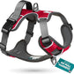 Embark Adventure Dog Harness, Reflective Trim No Pull Dog Harnesses for Small Sized Dogs - Military Grade Nylon, Front Clip with Gel Lined Handle. Soft & Padded Puppy