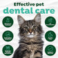 TropiClean Fresh Breath Drops for Cats Travel Size | Cat Mouthwash | Water Additive For Cats | Kitten Bad Breath Water Additive | Made in the USA | 2.2 oz.  