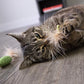 Petlinks (3 Count) 3 Blind Mice Catnip Cat Toys - Randomly Selected Color, 3 Count