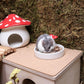 Niteangel Hamster Snack & Treats Toy - Small Animal Natural Treat for Dwarf Syrian Robo Hamsters Gerbils Mice Lemmings Degus or Other Small-Sized Pets