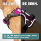 Embark Adventure Dog Harness, Reflective Trim No Pull Dog Harnesses for Small Sized Dogs - Military Grade Nylon, Front Clip with Gel Lined Handle.