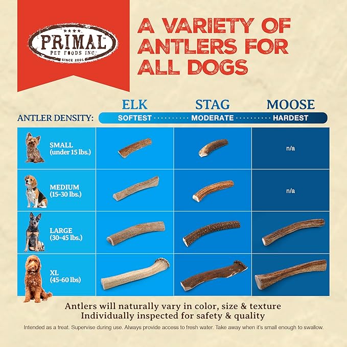 Primal Antlers for Dogs, Grade A Split Moose Antlers for Large Canines 30-45 lb, Natural Chews for Aggressive Chewers, Naturally Shed, Long Lasting Dog Bones, 1 ct