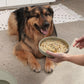 The Slowdown Bowl Silicone Slow Feeder for Dogs & Puppies, Slow Eating, Modern Lick Mat Design, Reduces Gulping, Fits 2.5 Cups 9.5” Across x 1.5” Tall, Mealtime Challenge, Large-Spruce