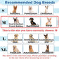 Hard & Heavy Plastic Dog Cone Collar Alternative for Medium Dogs (French Bulldog Dachshund),Pet Neck Head Protective Cone Anti-Lick, Adjustable Elizabethan Recovery Collar Cone of Shame for Healing